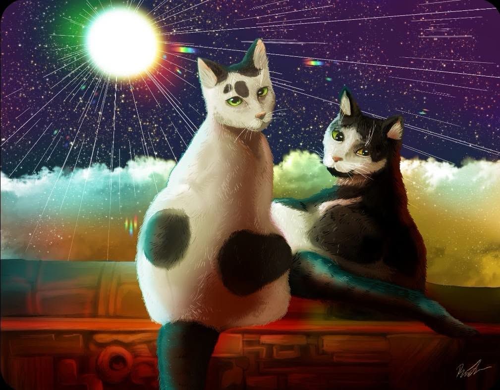Two cats on a rooftop under a bright moon and starry sky, one cream and black, one black and white.