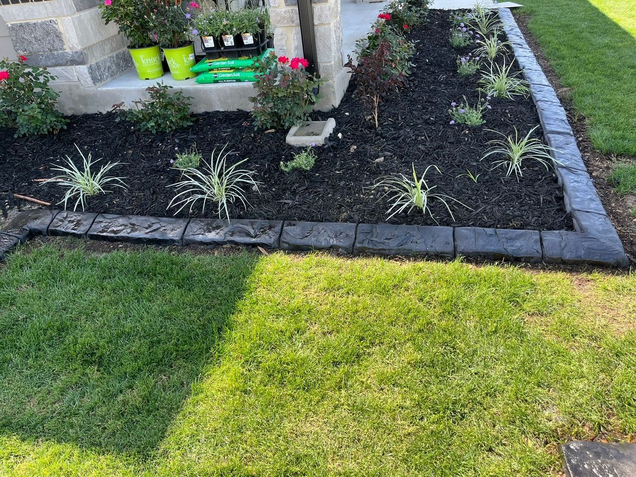 A garden with a lot of plants and flowers in it