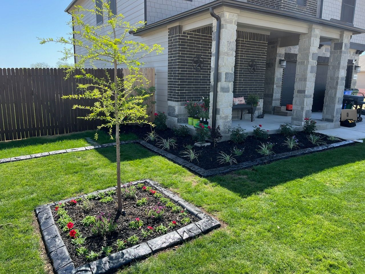 There is a tree in the middle of a garden in front of a house.