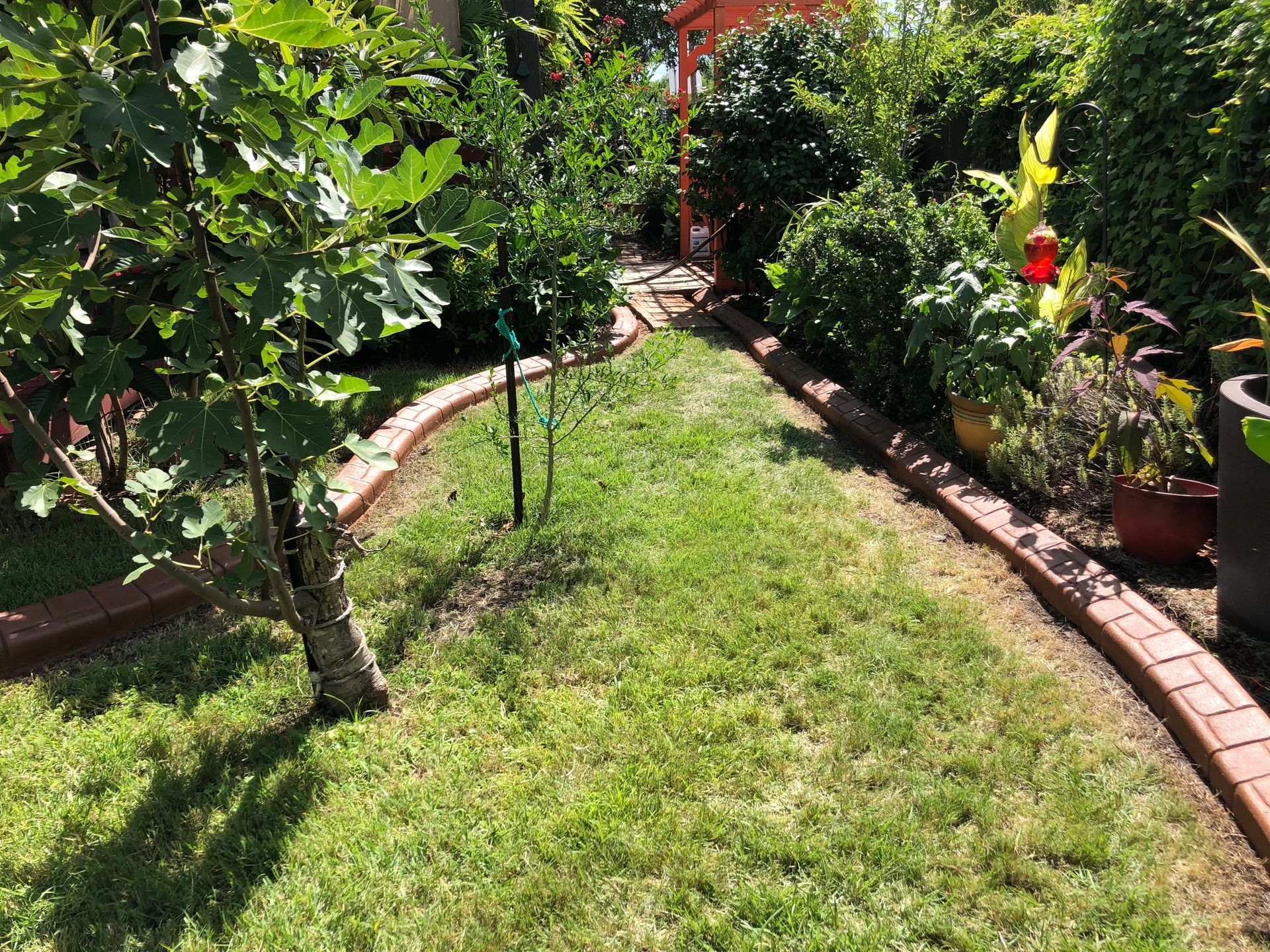 A lush green lawn with a brick curb surrounded by trees and bushes.