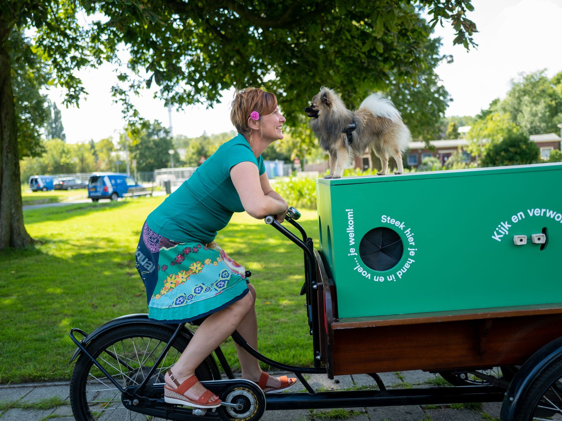 Een vrouw fietst in een zonnig park en trekt een groene kar met een hond erop achter zich aan.