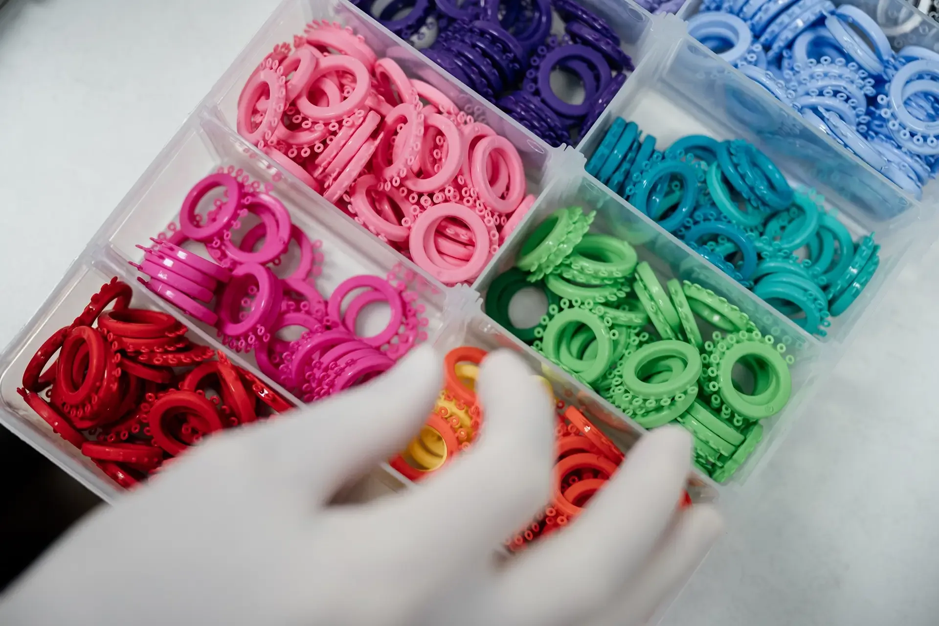 Olliver Orthodontics, Marlborough's locally based specialist orthodontic practice serving Blenheim, Picton and the wider region.