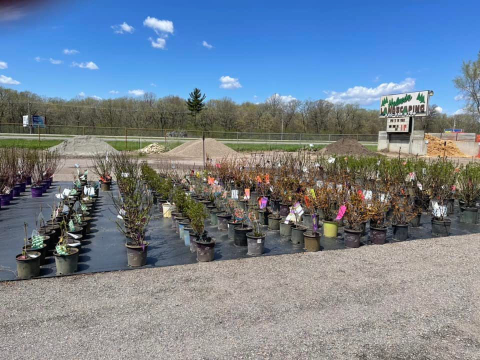 Outdoor garden center with rows of potted plants and a sign under a blue sky