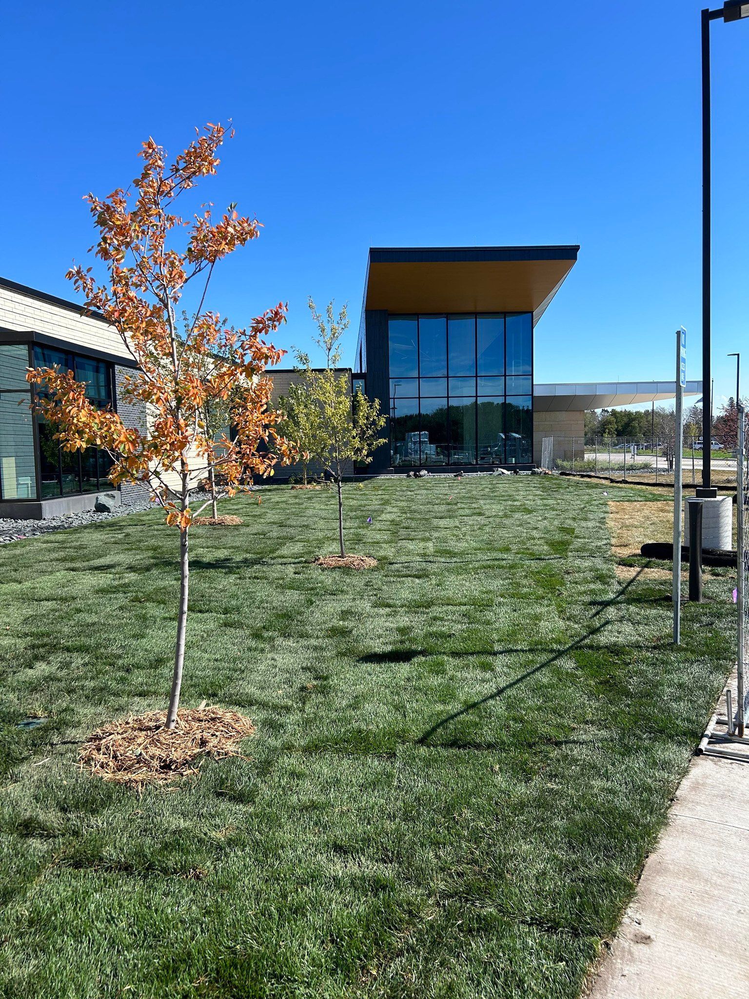 Modern building with glass entrance, small tree, and grassy lawn under a bright blue sky.