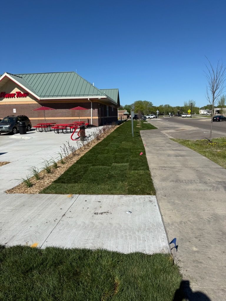 Sidewalk beside a large store with a grassy strip, parking lot, and clear blue sky.