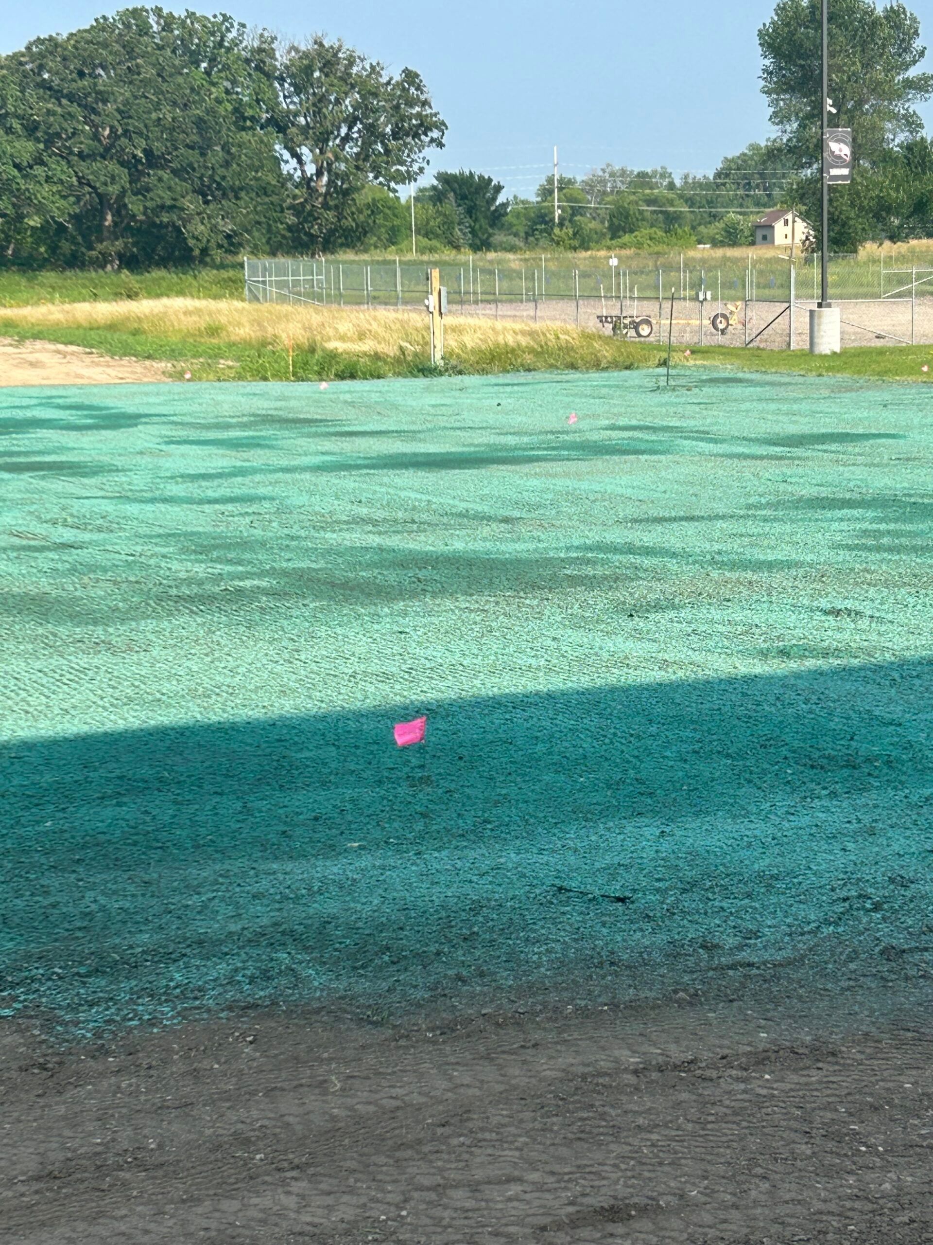 Sunny rural field with green ground cover, a fence, trees, and a small pink marker in the foreground