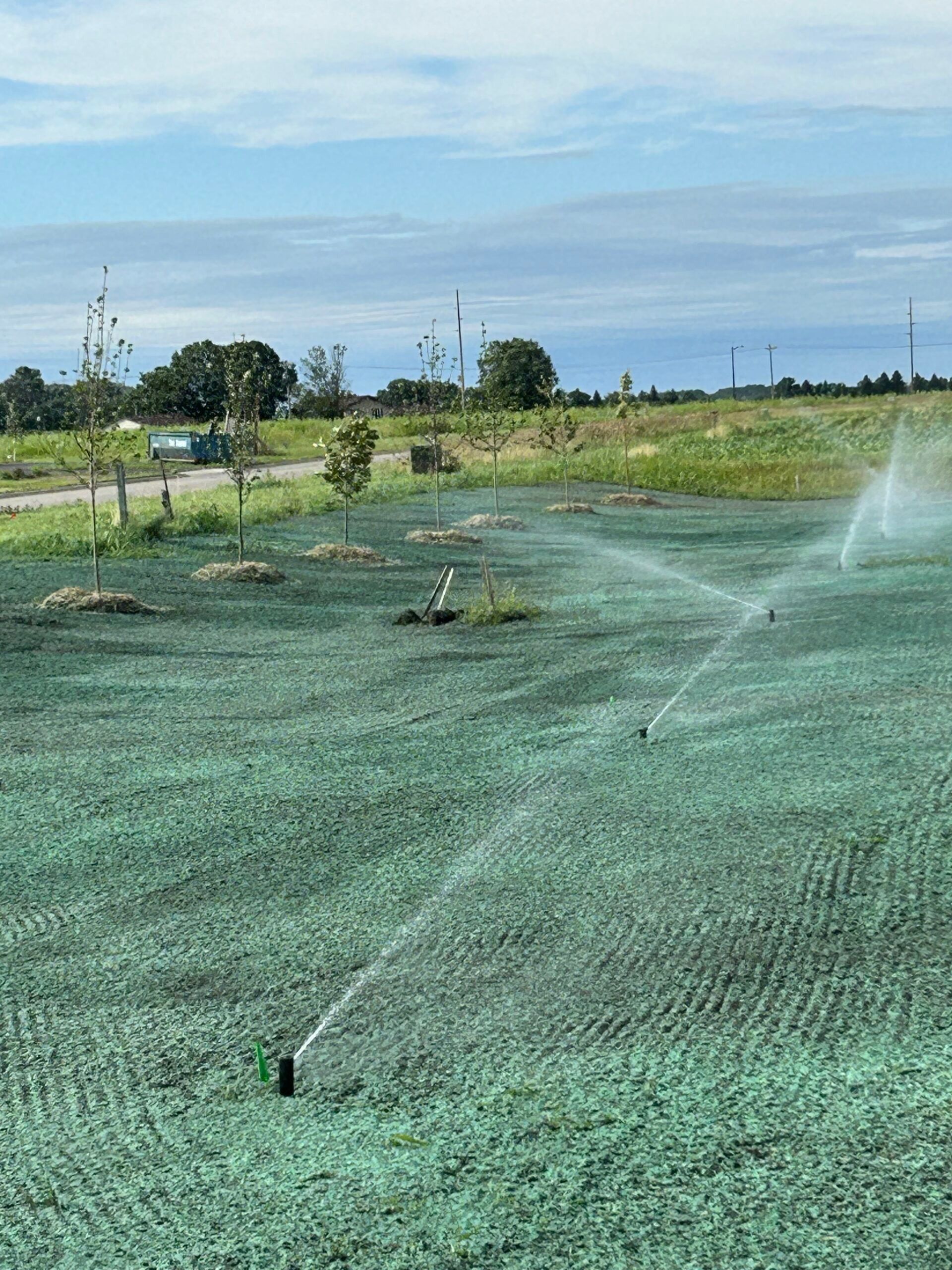 Sprinklers watering a grassy field under a clear sky, with a road and distant trees in the background.