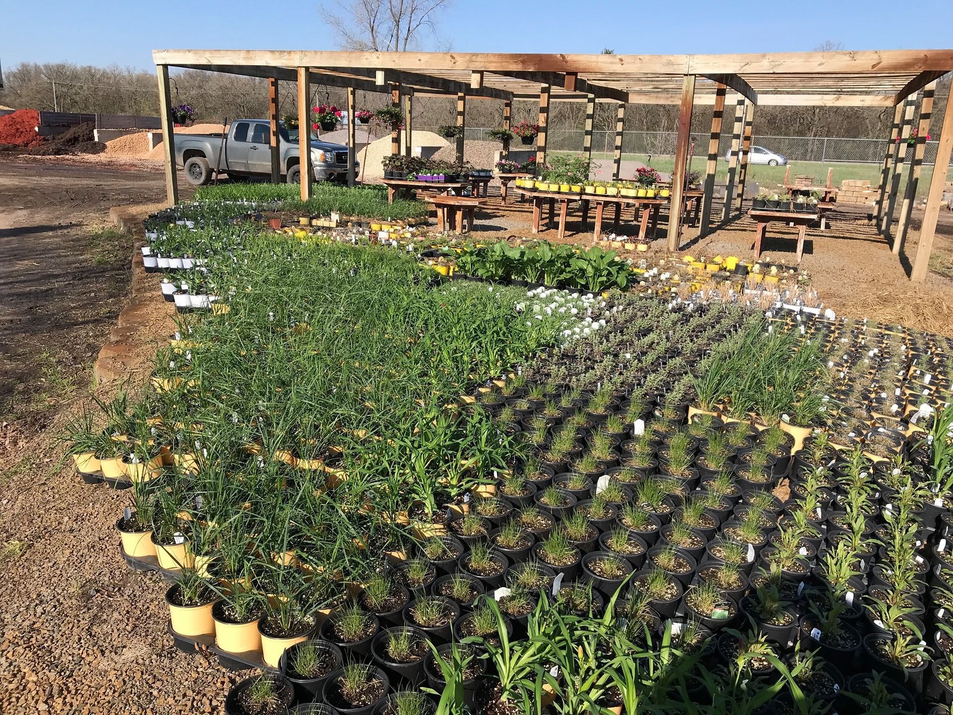 Rows of potted seedlings in a nursery under a wooden shade structure, with a truck in the background.