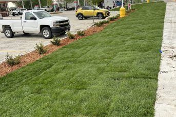 Freshly laid green sod beside a sidewalk and parking lot with a white pickup truck and yellow car nearby