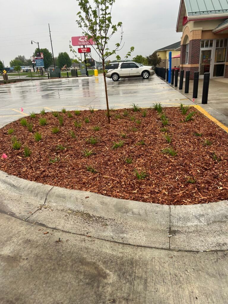 Rainy parking lot with a mulched planter bed, young tree, and parked white car near a storefront.