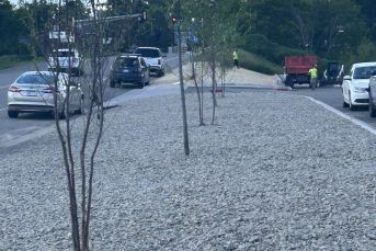 Gravel landscape between parked cars and young trees beside a road