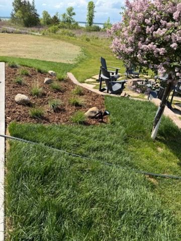 Landscaped yard with green lawn, rocks, and a pink flowering tree beside patio chairs