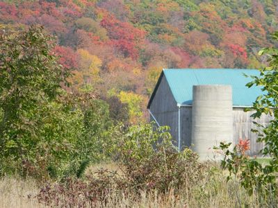 Fall beauty near Kemble, Ontario