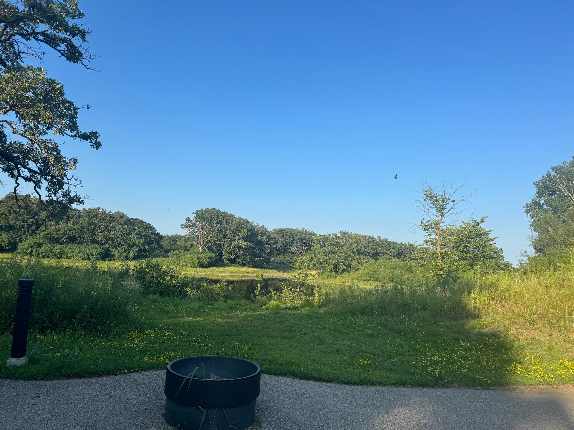 Sibley State Park Minnesota