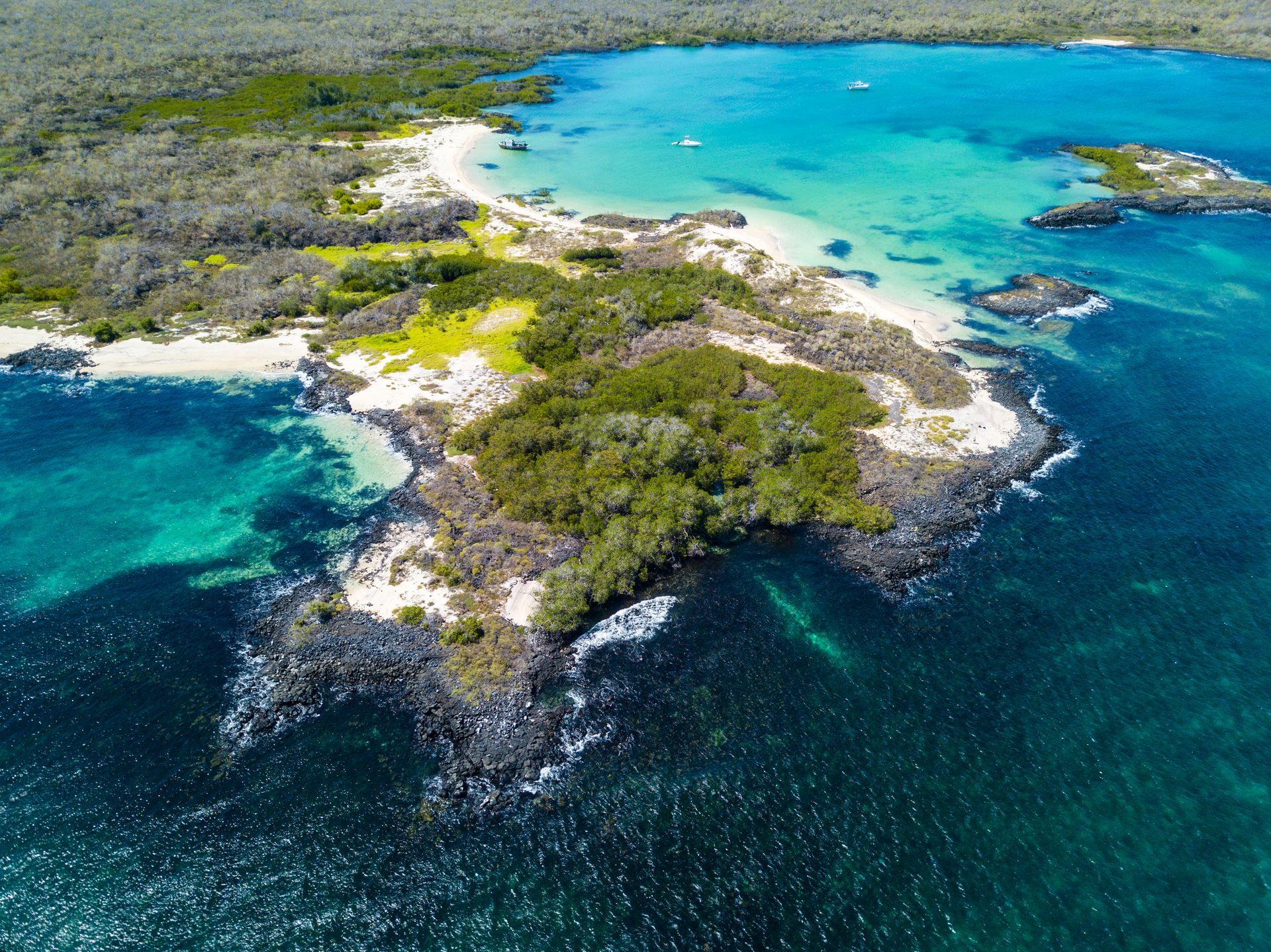 White sand beach with turquoise water, lush green trees, and blue sky.