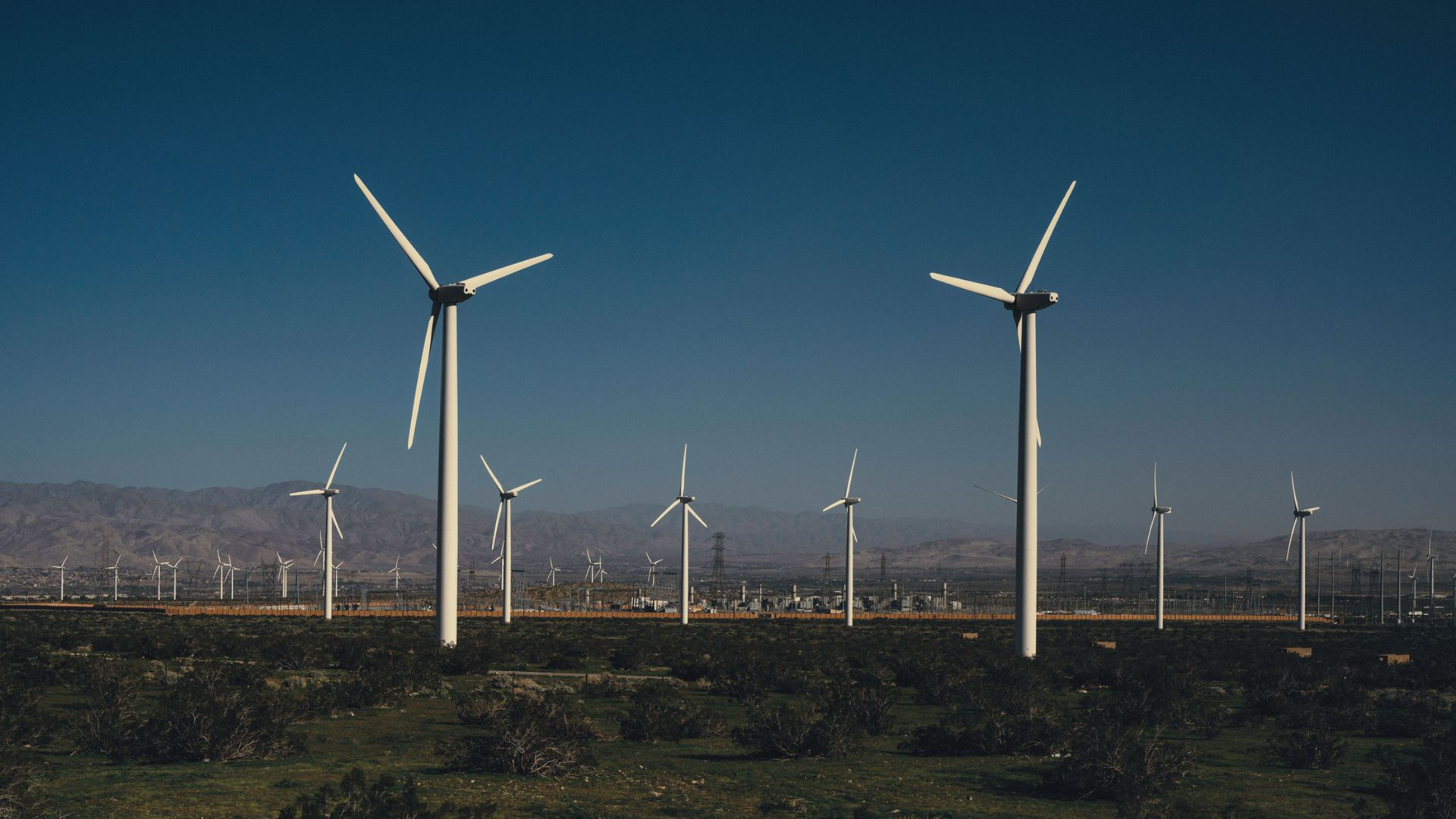 Wind turbines across a flat field under a clear blue sky, with mountains in the distance.