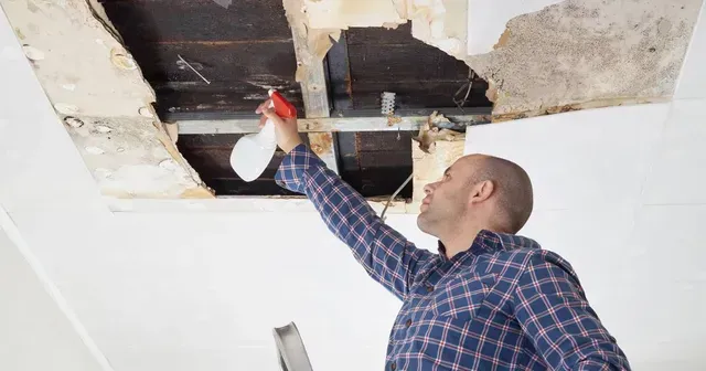 man spraying mold