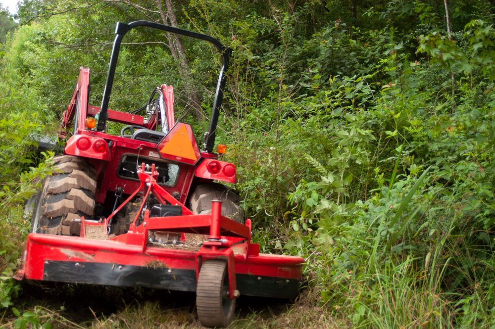 Red tractor with mower attachment on a narrow overgrown trail in dense greenery