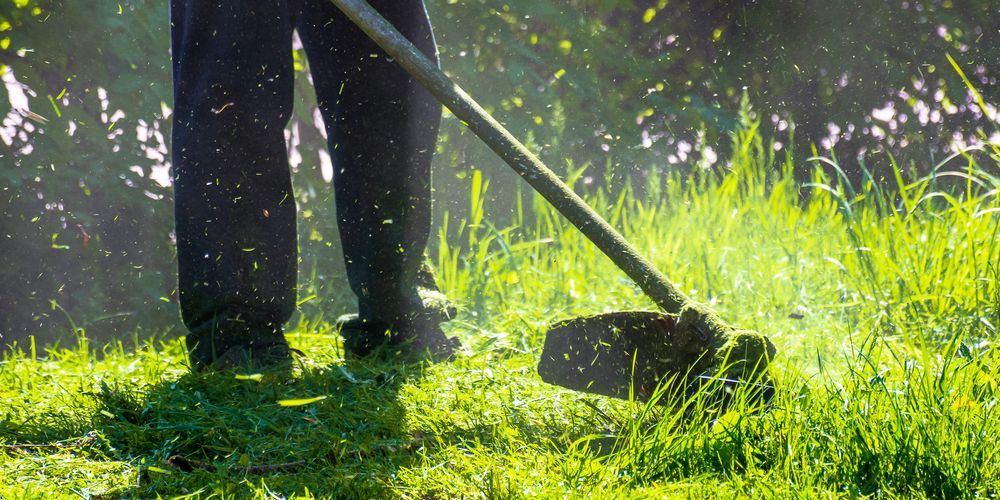 Person using a string trimmer in a sunny, grassy yard, with legs visible and grass clippings flying.