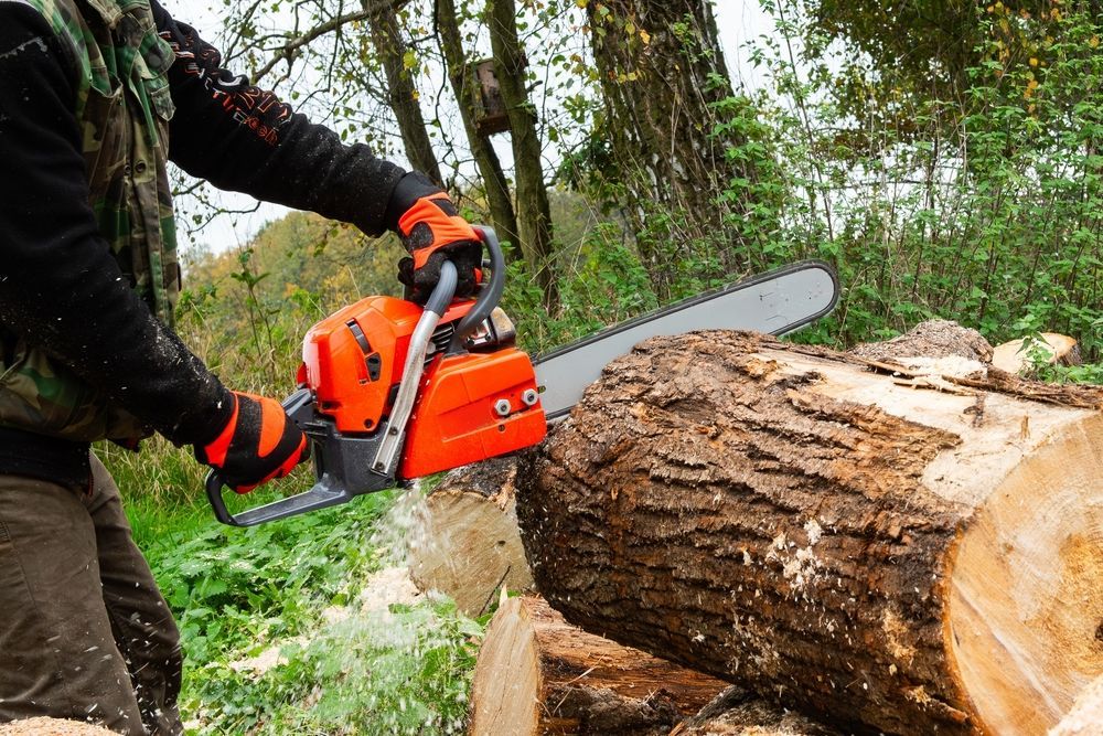 Person using an orange chainsaw to cut a log in a wooded area