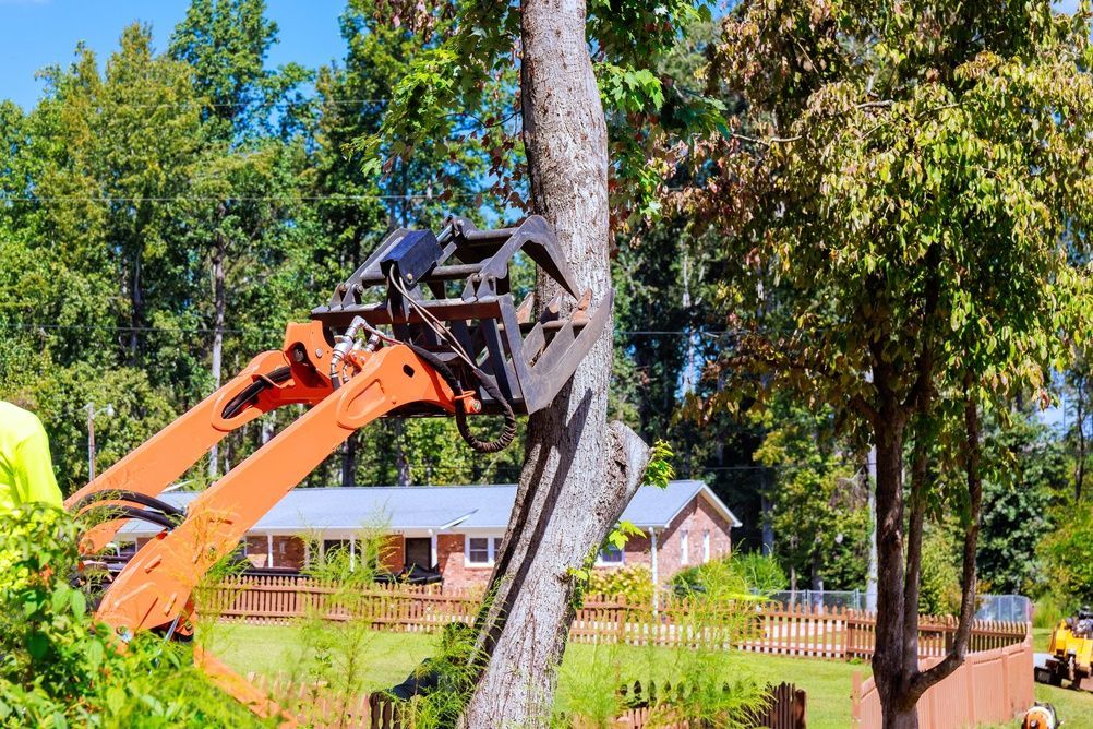 Orange excavator lifting a tree trunk in a sunny yard near a house and fence