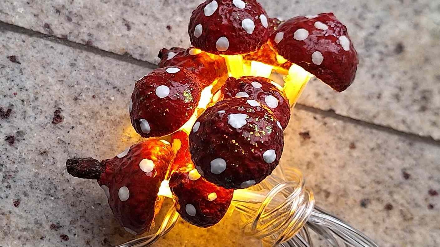 homemade mushroom light string