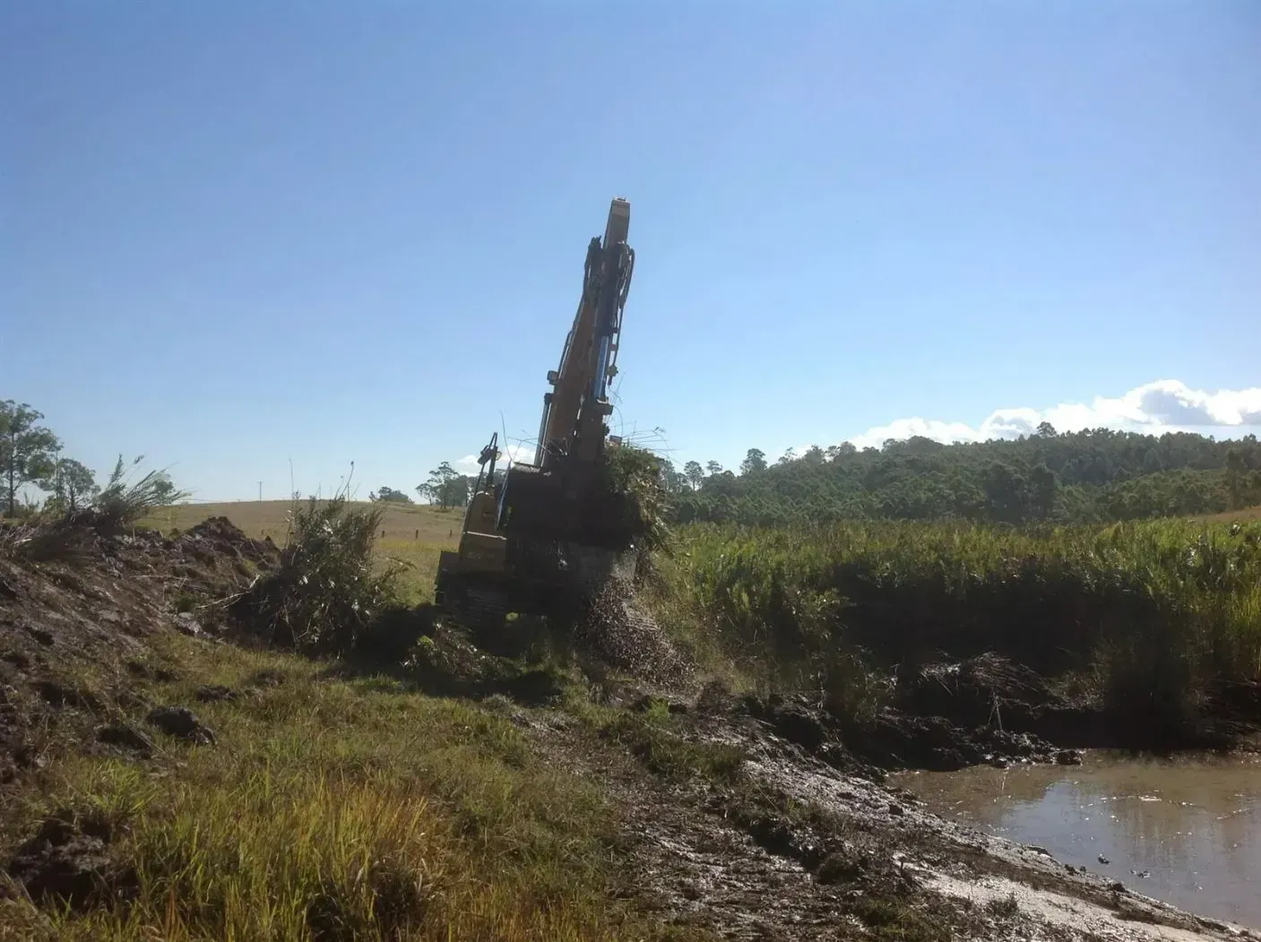 A Muddy Field With a Tree in the Middle of It — S M & A J Gilbert Earthmoving in Mitchells Island, NSW