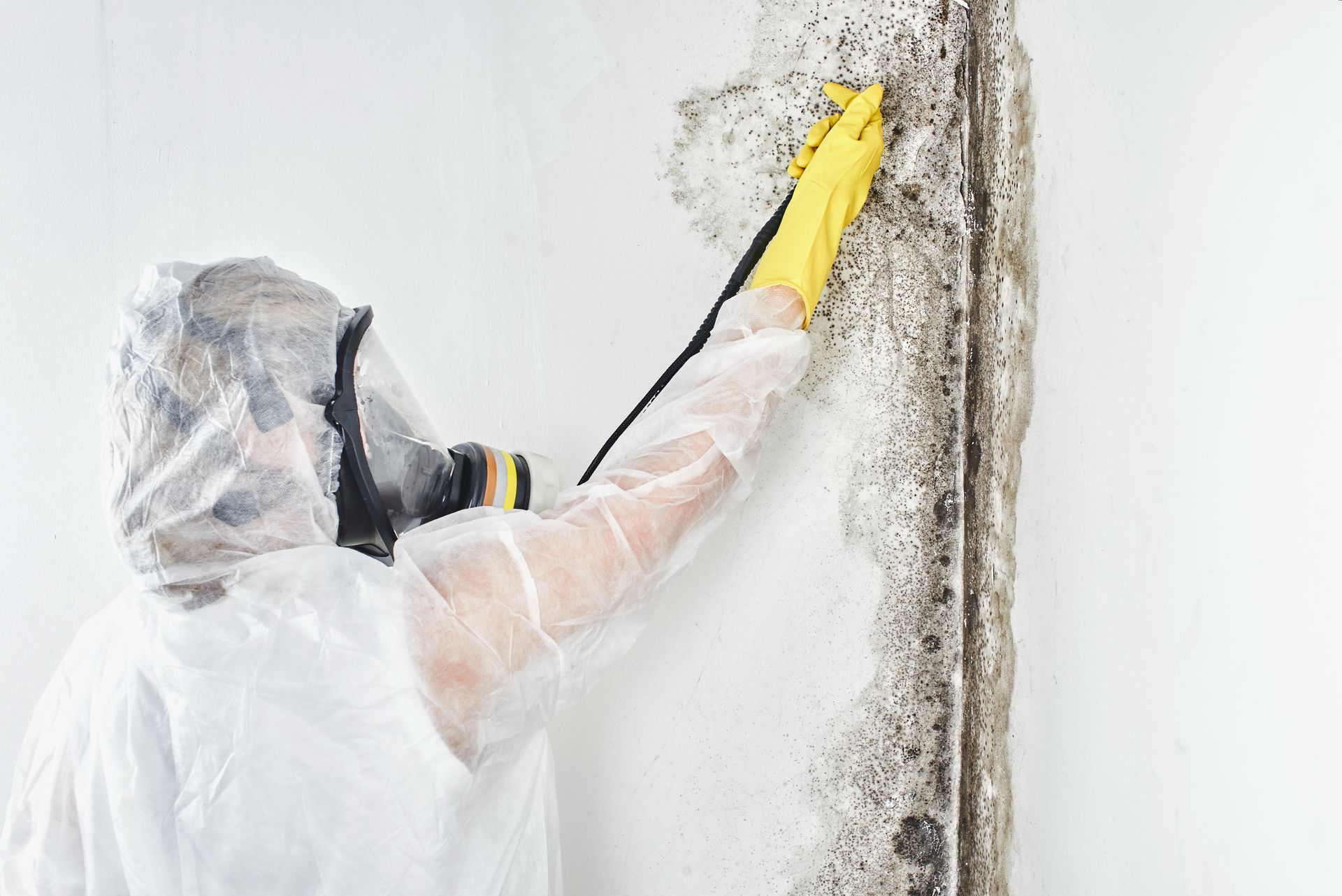 Person in protective gear cleaning mold from a wall with a yellow sprayer