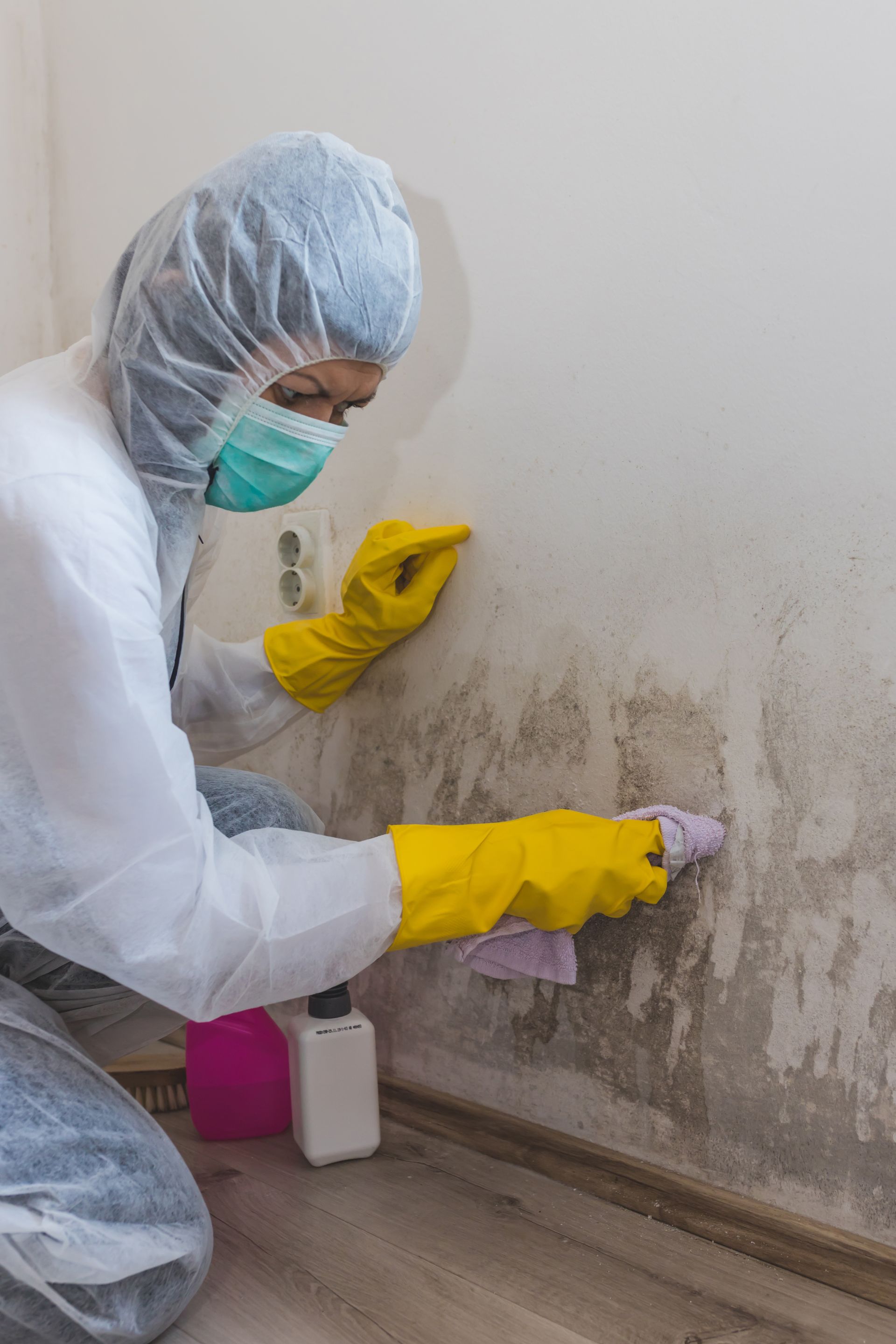 Worker in protective gear cleaning mold from a wall with a brush and spray bottle