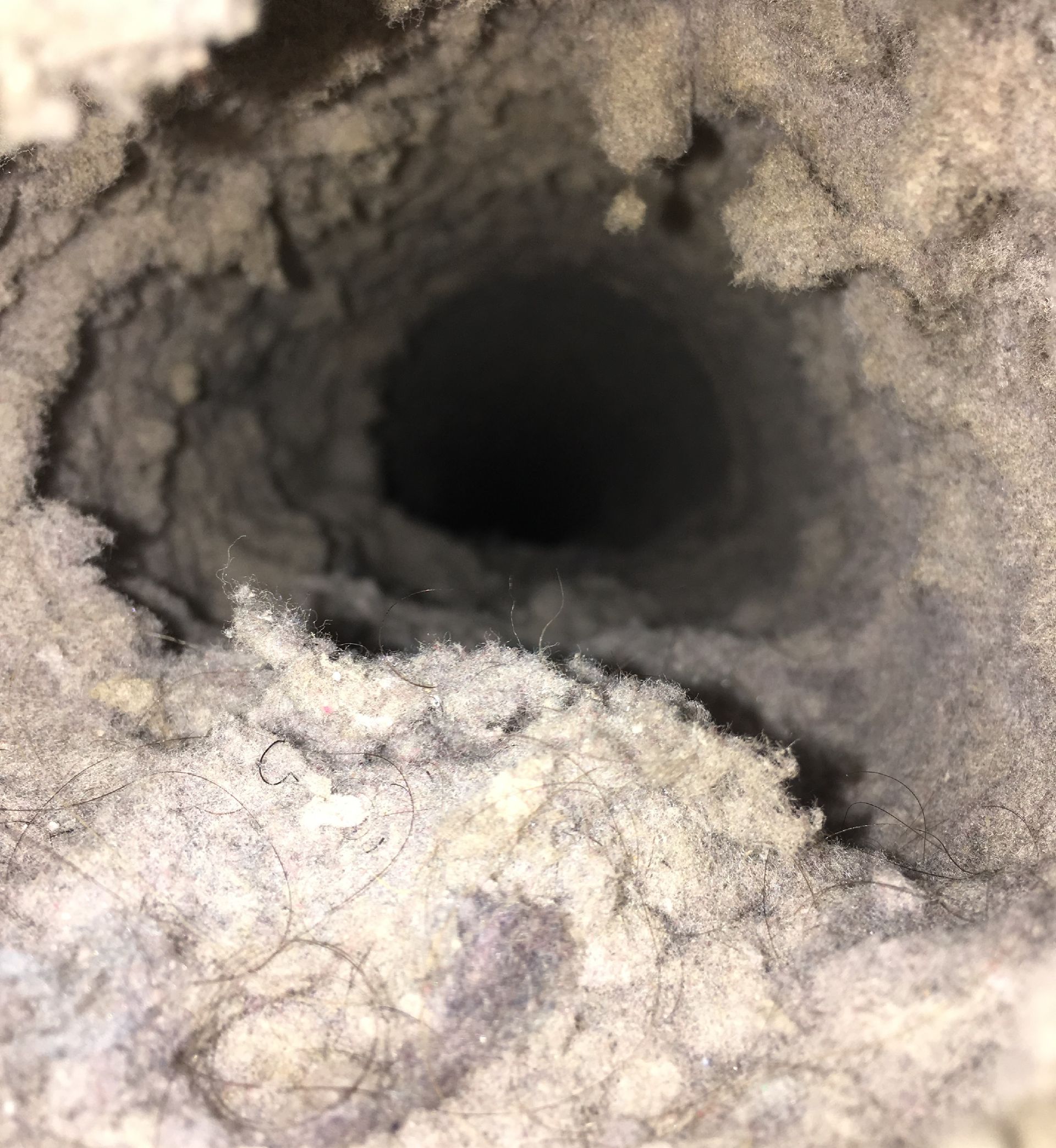 Close-up of a dark circular hole surrounded by gray-white fibrous insulation