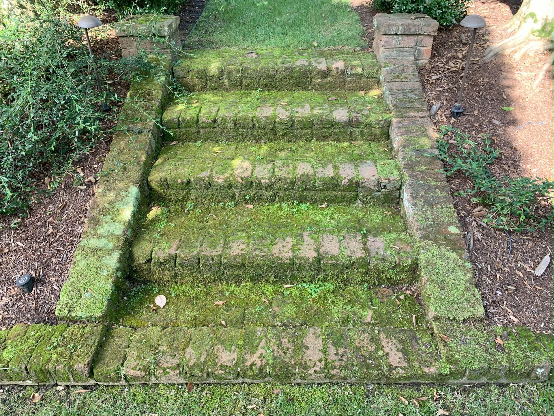 Moss-covered stone steps in a narrow garden path, bordered by low brick edges and dirt.
