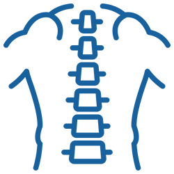 Chiropractic Adjustments