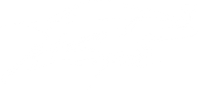 A1 Spec