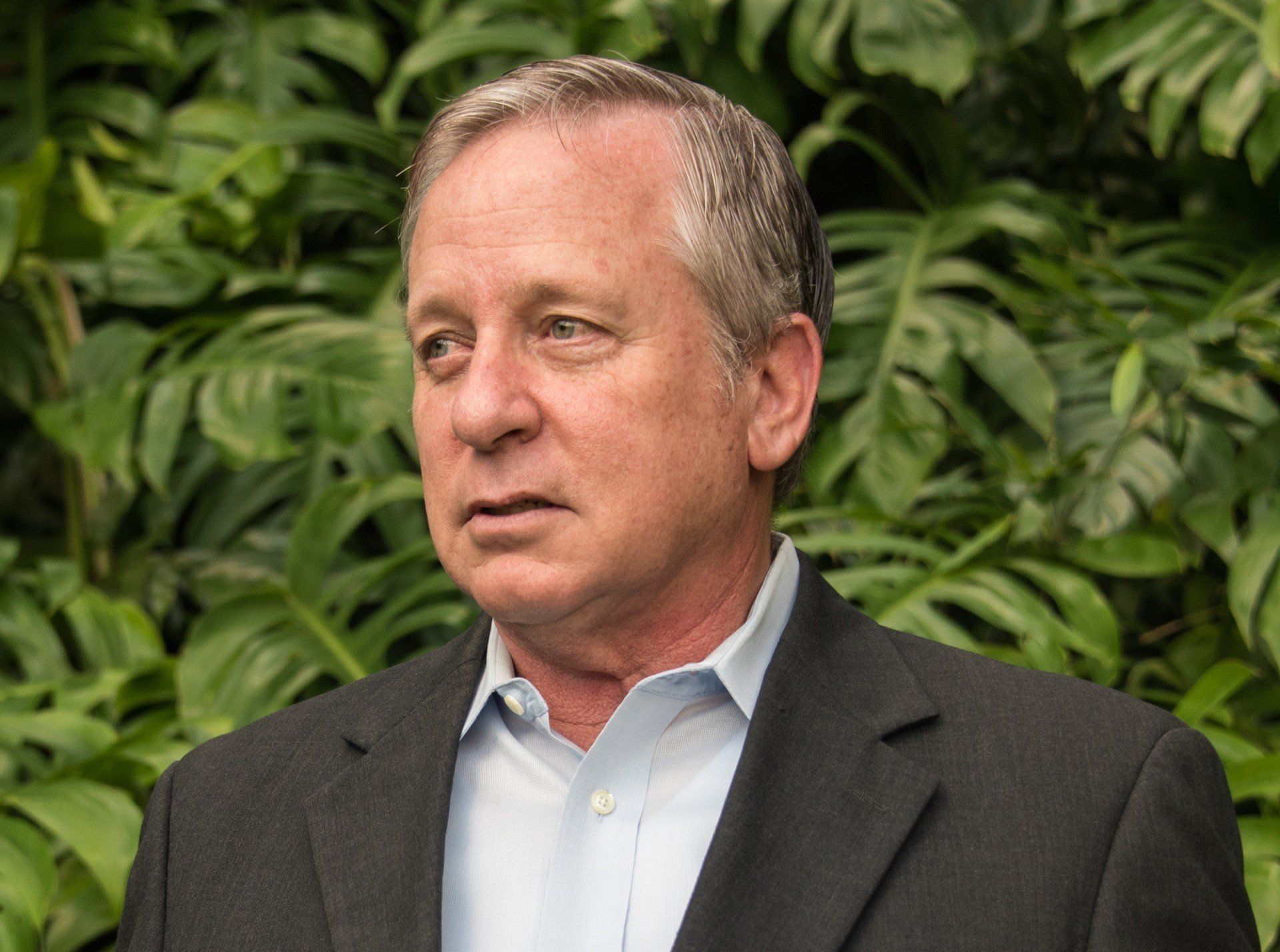 Man in a suit jacket, light blue shirt, looking slightly off-camera. Set against a backdrop of green foliage.