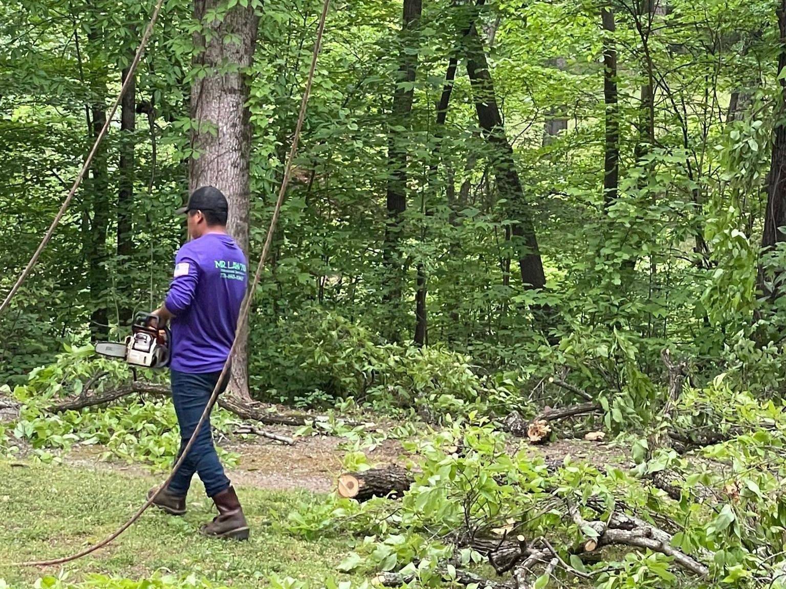 A man is using a chainsaw to cut a tree in the woods.