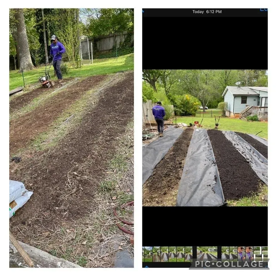 A person tilling garden beds. Black fabric covers some beds. Backyard with a house in the background.
