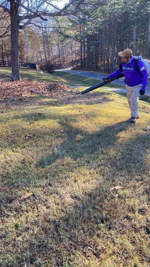 Leaf Clean Up