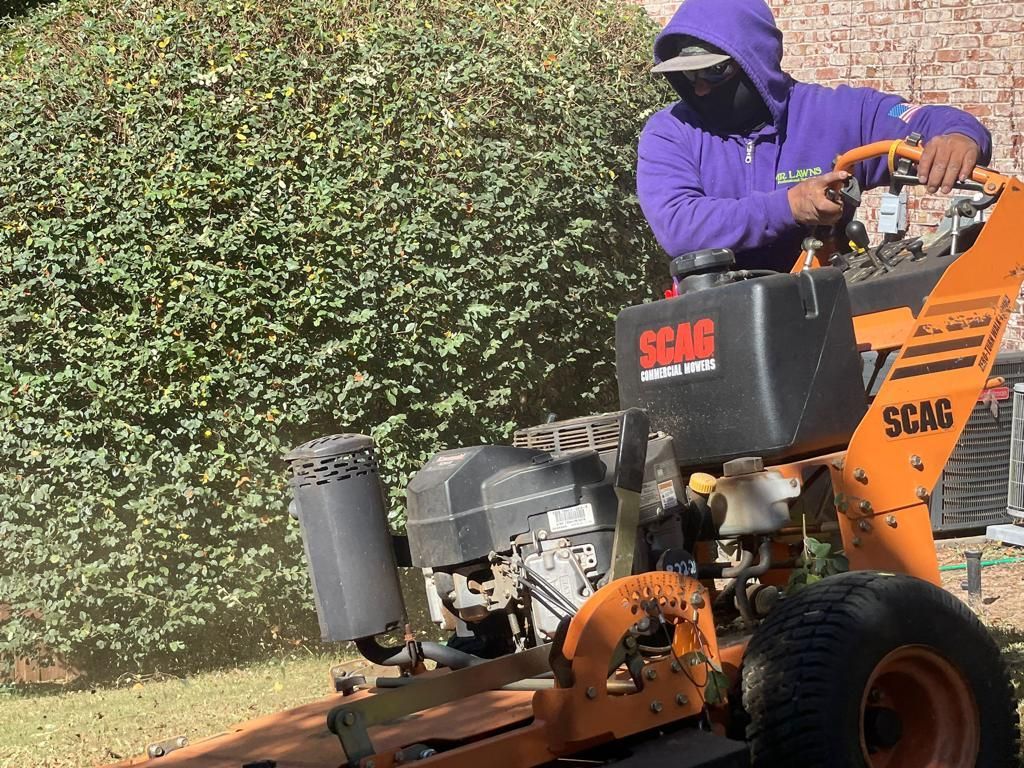Property Clean up