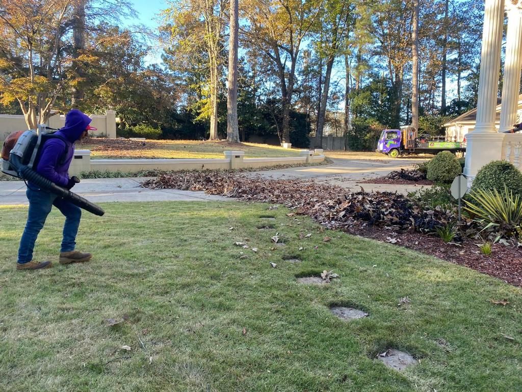 yard clean up