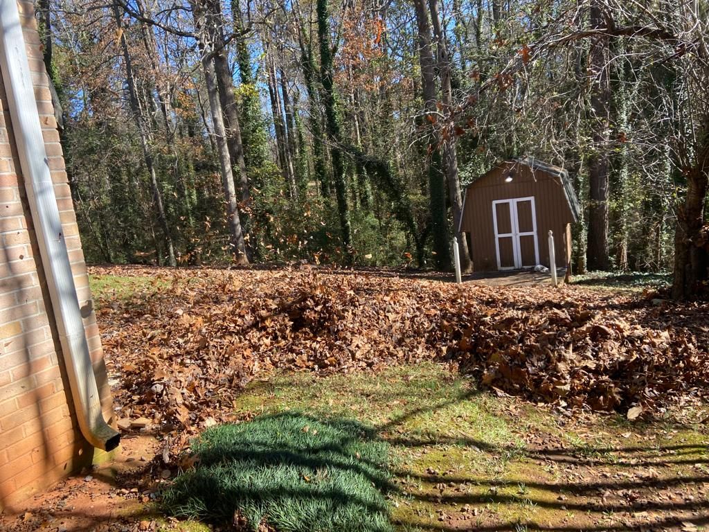 Leaf removal in Kennesaw