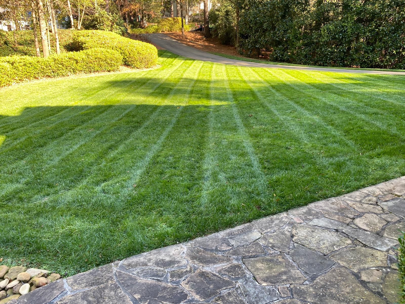 grass clean up in Kennesaw GA