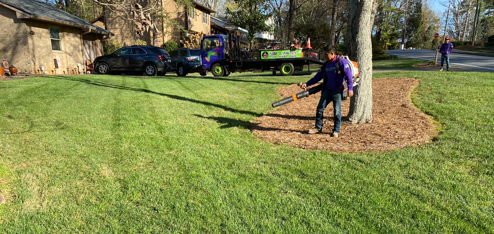 Fall Cleanup
