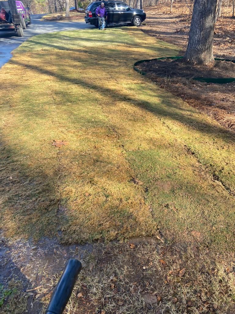 Person using a leaf blower on dry, brownish grass near a driveway with cars and trees.