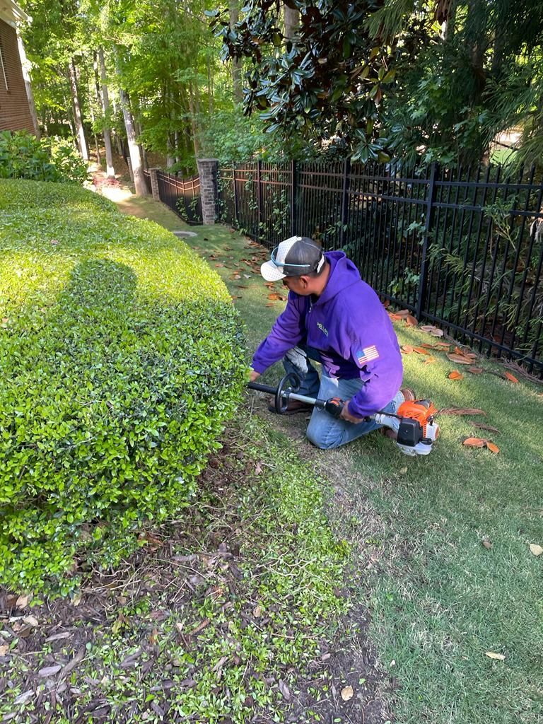 Man in purple hoodie trims hedge with a trimmer tool in a yard with grass and bushes.