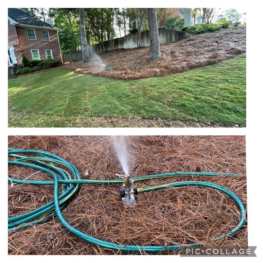 Top: A sprinkler waters grass on a sloped yard. Bottom: Close-up of a sprinkler spraying water on pine straw.