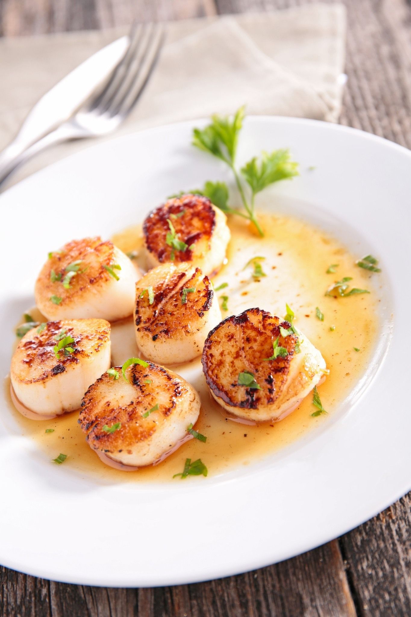Seared scallops on a white plate with sauce and parsley garnish