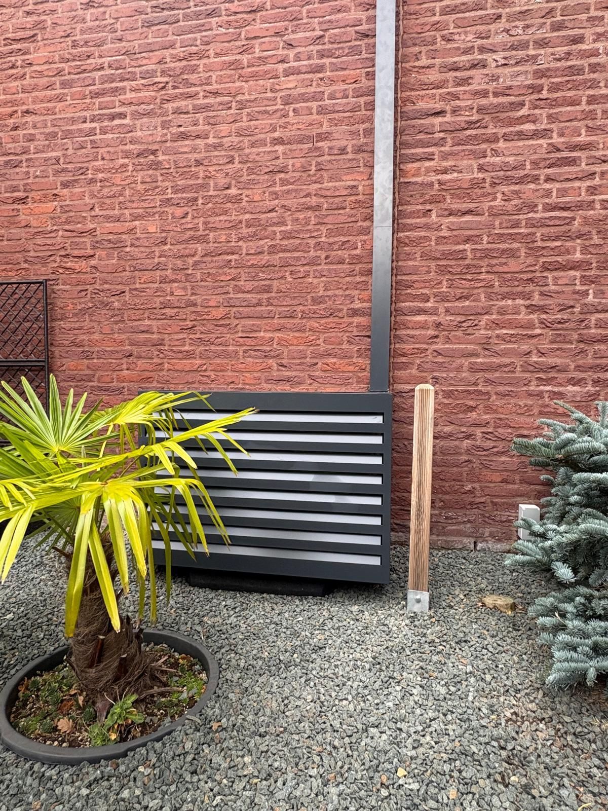 Een palmboom en een groenblijvende plant staan ​​naast een zwarte, horizontale lattenstructuur tegen een rode bakstenen muur.