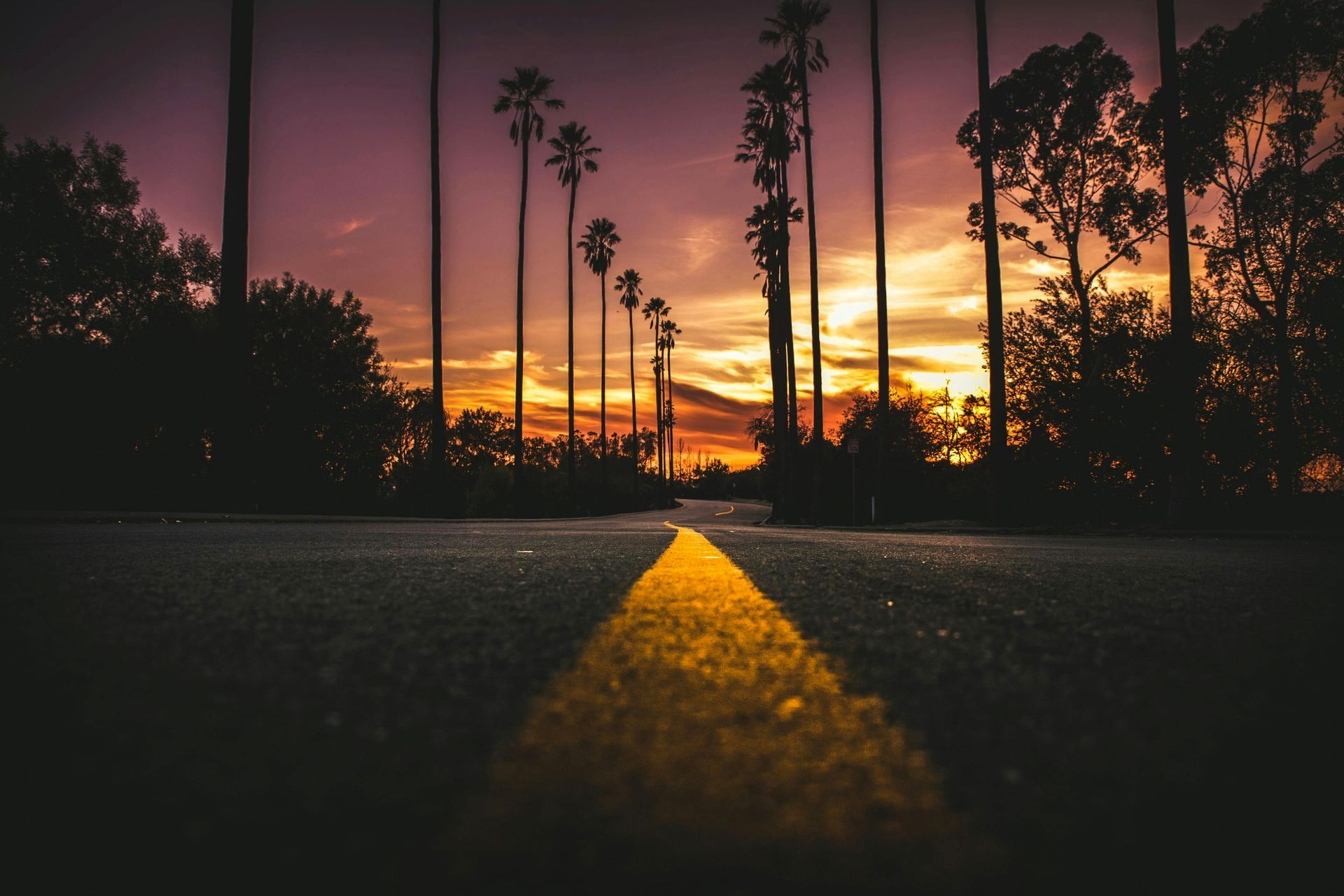A road with a yellow line on it and palm trees in the background at sunset.