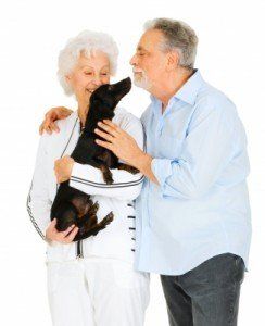 assisted living homes colorado springs