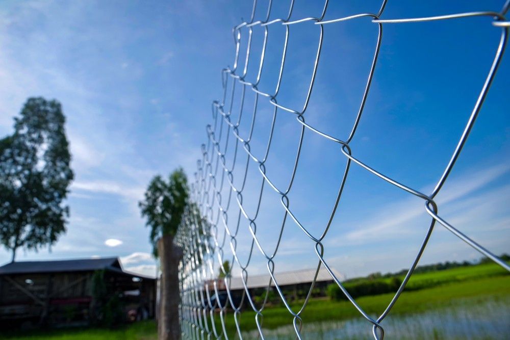A Chain Link Fence With A Blue Sky In The Background — CQ Fencing & Retaining Walls In Clinton, QLD